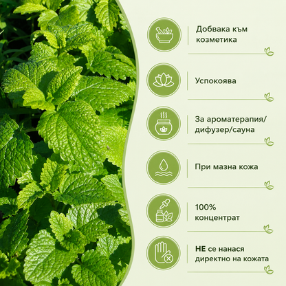 Етерично масло от маточина